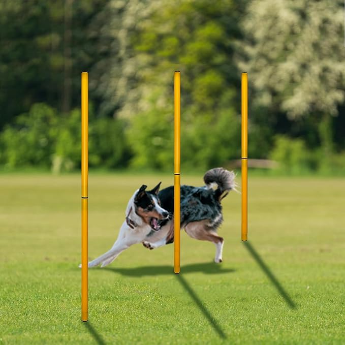 TNZMART 2.6 FT Dog Agility Obstacle Course Backyard Set Wave Poles and Adjustble Hurdles Training Exercise Equipment for Dogs (Pack of 6 Yellow)