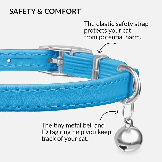 CollarDirect Leather Cat Collar with Bell - Kitten Collar, Small and Big Cat Collar for Boy Cats, Girl Cats with Safety Elastic Strap (Neck Fit 6"-7", Light Blue)