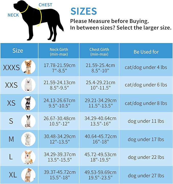 AIITLE No Pull Dog Harness and Leash Set, Step in Adjustable Dog Harness with Padded Vest for All Weather, Dog Leash with Soft Padded Handle, Easy to Put on Small and Medium Dogs Beige S