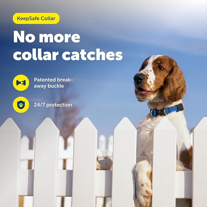 PetSafe KeepSafe Collar for Dogs - Protects Against Collar Accidents - Long Lasting - Durable - Adjustable - Breakaway - Outdoor-Safe - Large - 1 In. Wide - Blue