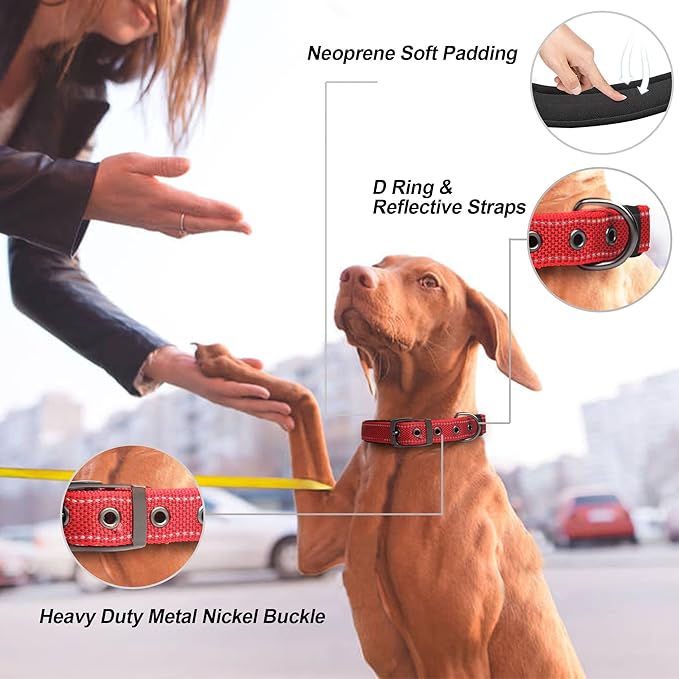 PetiFine Dog Collar with Metal Buckle, Heavy Duty Dog Collar with Soft Neoprene Padded, Adjustable Reflective Nylon Dog Collars for Small Medium Large Dogs, Red,S