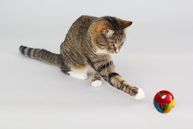 SIMENA Parrot Ball Toy with Bell, Cage Hanging Accessories for Medium to Large Birds, Interactive Toys for Birds, Cat Ball Toy(Set of 3)