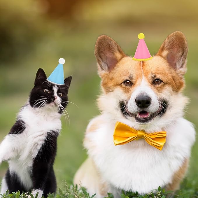 Hxezoc 10 Pcs Mini Birthday Party Hats Multicolor Lovely Crimping Cone Hats for Animals Stuffed Pets Birthday Holiday Accessories Decoration Supplies
