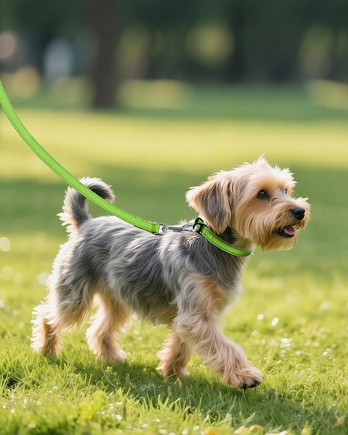 Joytale Small Dog Collar, Reflective and Adjustable Nylon Collar with Quick-Release Buckle, Lightweight No-Choke Design for Small Dogs, Green, 5/8" Width