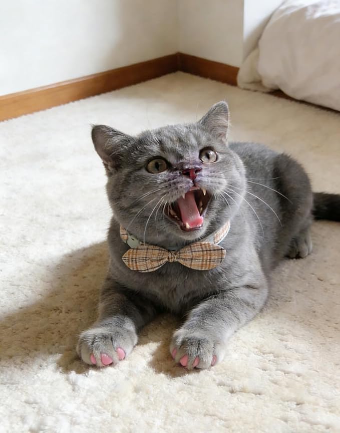 Cotton Bowtie Cat Collar with Bell 2 Pack Plaid Breakaway Kitten Collars with Removeable Bunny Ear Bow(Amber+Beige)