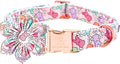 Lionheart glory Easter Day Dog Collar with Flower Dog Collar for Large Dogs, Rabbits Dog Collars Colorful Dog Collar Spring Collars Pet Collar Flowers