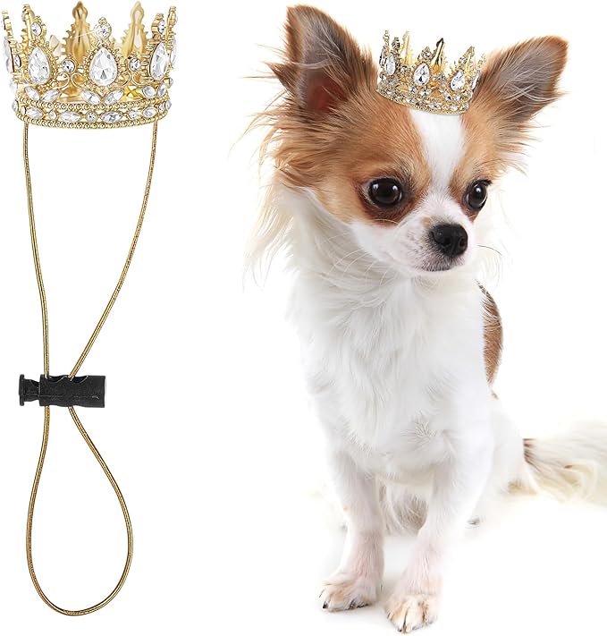 Abbylike Pet Rhinestone King Crown Small Size, Queen Crown for Halloween Costume for Small Dog Cat Cosplay Party Accessories Adoption Celebration Wedding Birthday Photos Prop Costume