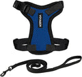 Voyager Escape-Proof Step-in Lock Cat Harness & 5ft Neoprene-Handle Leash Set All-Weather Mesh with Reflective Stitching for Small to Large Cats by Best Pet Supplies, Royal Blue/Black Trim, XXS