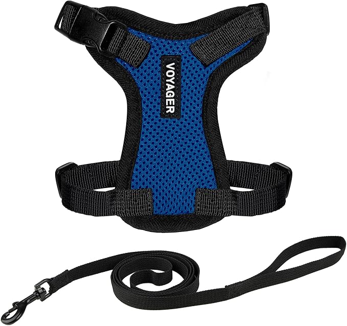 Voyager Escape-Proof Step-in Lock Cat Harness & 5ft Neoprene-Handle Leash Set All-Weather Mesh with Reflective Stitching for Small to Large Cats by Best Pet Supplies, Royal Blue/Black Trim, XS