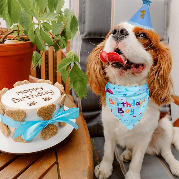Dog Birthday Bandana Set, Dog Birthday Party Supplies, Puppy Boy Girl Birthday Party Hat with Numbers for X-Small, Small and Meidum Puppy (Blue)