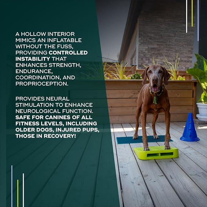 FitPAWS Balance Ramp | Dog Agility Equipment for Balancing, Obedience Training, and Sensory Stimulation