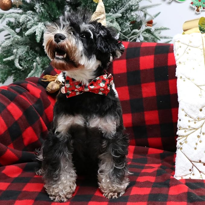 Christmas Dog Collar with Bow Tie, Christmas Collar for Puppy Girl Boy Dog or Cat, Bowtie Dogs Collars with Durable Metal Buckle, Cute Pet Collars, S