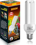 GlowUp 2.4% UVB Bulb for Birds, 20W Compact Fluorescent Light Bulb UVA UVB Light Bulbs E26 for Captive Birds and Reptiles