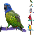 Sweet Feet & Beak Safety Pumice Bird Perch, Medium 1-1/4" X 12", Green - Lightweight Grinding Bird Perches for Cage - Bird Nail Trimming Perch for Healthy Beak & Feet - Multi-Size & Color Parrot Stand