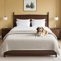 H.VERSAILTEX Plush Chenille Couch Cover for Dogs Pets Blanket for Bed Anti-Slip Soft and Durable Furniture Protector for Small Medium Large Cats Washable (52" x 82", Oatmeal)