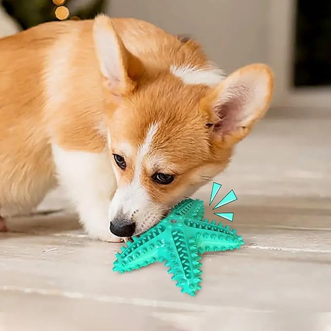 Chew Toy for Dog Toothbrush Stick Dog Toys for Aggressive Chewers Interactive Toys Treats Tough Toy to Keep Them Busy Chew Toys for Small Dogs (Star Toy - Blue)