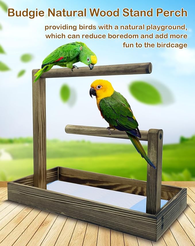 8 Pcs Small Bird Training Stand Set Portable Tabletop Birds Perch Desktop Platform Training Perch with Disposable Pads Parakeet Play Gyms Exercise for Budgie Conure Parrot Cockatiel