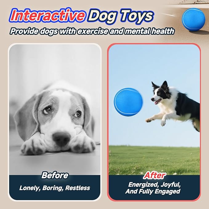 HETOO Dog Tennis Balls: Large 9.5 inch Herding Dog Toys Balls- Giant Outdoor Indoor Tennis Ball Toys for Small Medium Large Dogs Pet Toys Birthday Gift, Blue