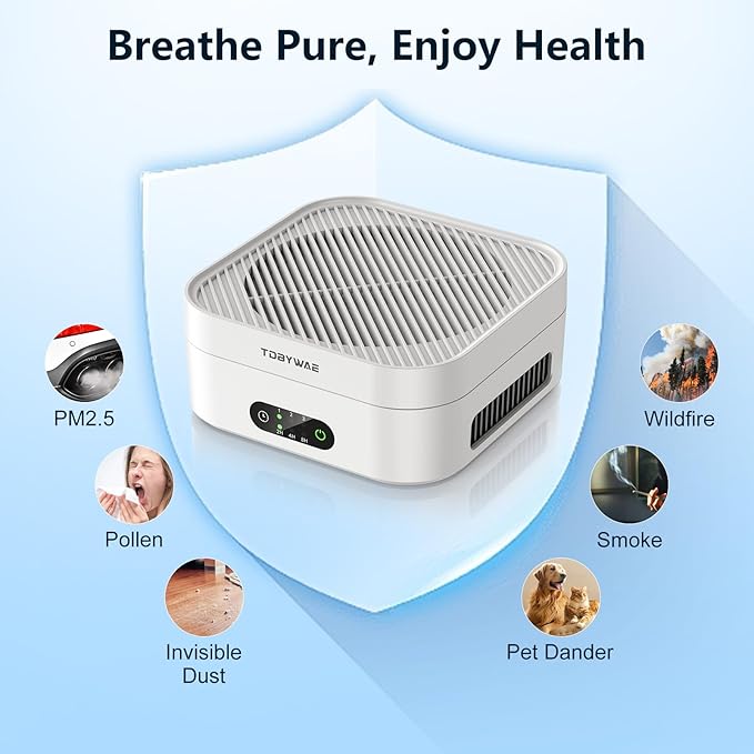 Air Purifiers for Home Bedroom Up to 600 ft², True HEPA Air Purifier for Pets Dust Dander Pollen Odor Smoke, Portable Car Air Purifier for Travel