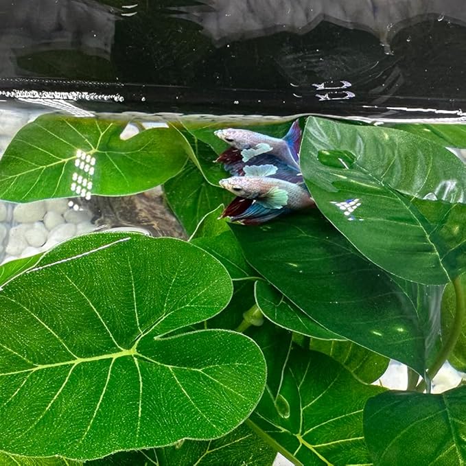 Smoothedo-Pets Fish Tank Decor Aquarium Decorations Ornaments Betta Leaf pad Hammock 6inch Plastic Artificial Plant Goldfish Fish Hides Small Tank/Reptiles Plants Driftwood (Green-Type-A)