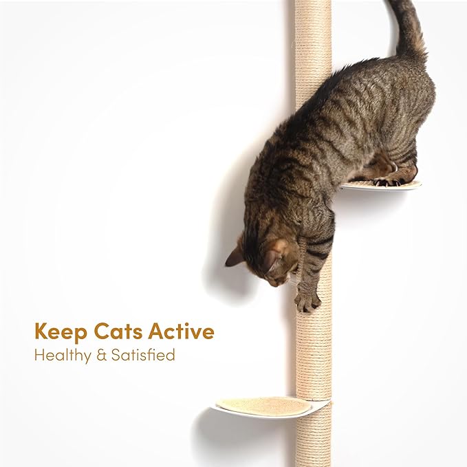 51" Wall-Mounted Cat Tree – Modern Space-Saving Cat Shelf with Sisal Scratching Post & Steel Climbing Steps – Stylish Cat Wall Furniture for Small Spaces