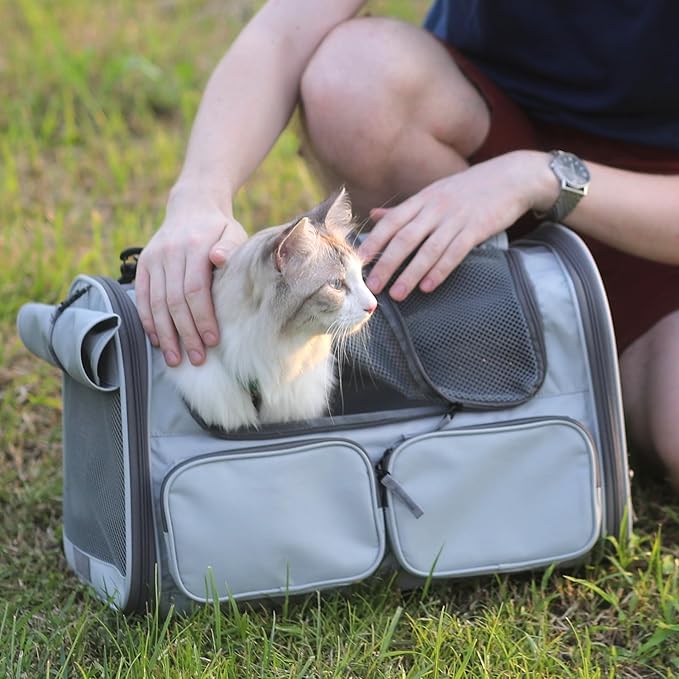 FUKUMARU Cat Carrier, Soft-Sided Small Dog Carrier, Large Cat Travel Bag with 4 Mesh Windows, Under 15 lb Airline Approved Pet Carrier with 4 Storage Pockets, Rollable Cover for Nervous Cats, Grey