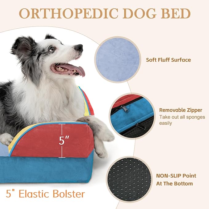 Comfort Expression Orthopedic Dog Bed for Extra Large Dogs 42x30 Inch, Waterproof Egg Crate Foam XL Pet Bed with Removable Bolsters, Dog Couch with Washable Cover & Non-Slip Bottom, Funfetti Fiesta