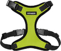 Voyager Step-in Pet Harness - All Weather Mesh, Adjustable Step in Harness for Cats and Dogs by Best Pet Supplies - Lime Green/Black Trim, L