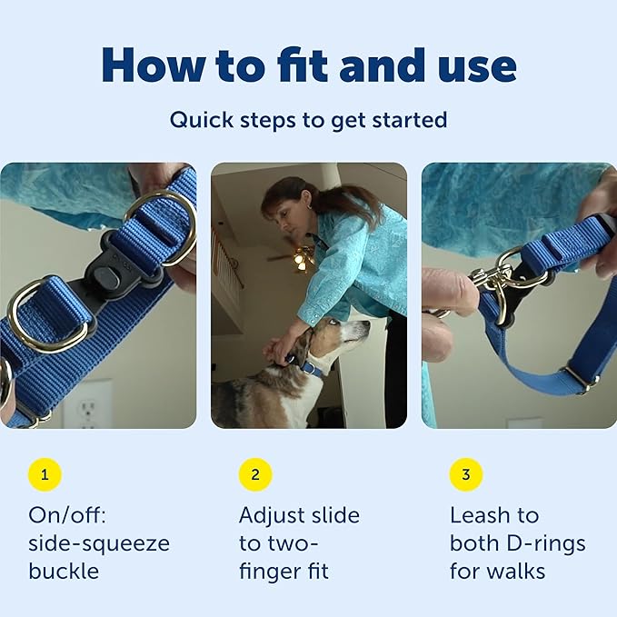 PetSafe KeepSafe Collar for Dogs - Protects Against Collar Accidents - Long Lasting - Durable - Adjustable - Breakaway - Outdoor-Safe - Large - 1 In. Wide - Blue