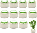 12 Pack Aquarium Plant Weights, Aquatic Plants Fixed Ring Set, Anti-Floating Ceramic Aquarium Plant Rings, Aquarium Landscape Decoration Fish Tank Accessories 1.8 x 1.3 Inch