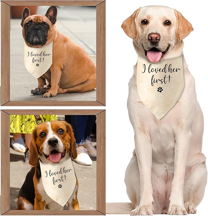 Engagement Gifts I Loved her First! Dog Bandana Pet Scarf Wedding Photo Prop Pet Accessories for Dog Lovers Owner Gift Engagement Party Bridal Shower Decorations