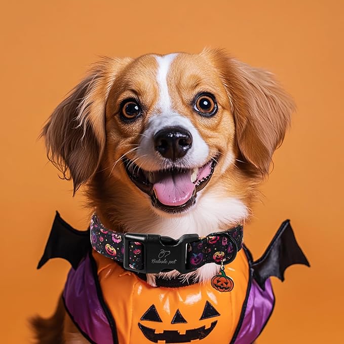 Halloween Dog Collar Spooky Fun Pumpkin Puppy Collar - Light Comfortable Adjustable Pet Collars for Small Medium Large Girl Boy Dogs XS