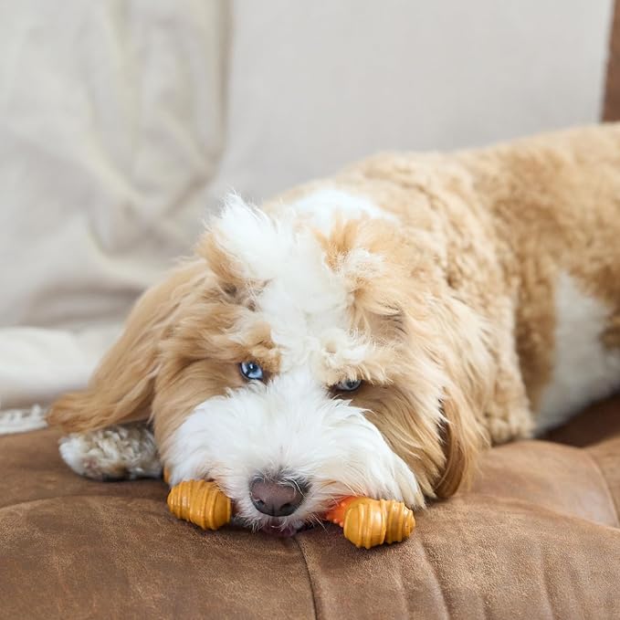 SPOT Bam-Bones Dental X-Bone - Made with Bamboo Fiber and a Massaging Rubber Center, Durable Oral Care Dog Chew for Light Chewers & Teething Puppies under 25lbs, 6in Allergen Free Peanut Butter Flavor