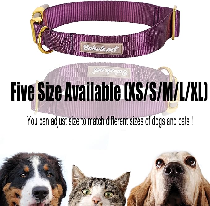Nylon Dog Collar - Adjustable Deep Purple Soft Webbing Dog Collars for Small Medium Large Dogs Boy Girl Puppy Collar with Safety Metal Buckle XS