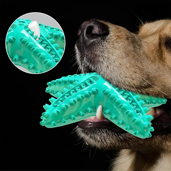 Chew Toy for Dog Toothbrush Stick Dog Toys for Aggressive Chewers Interactive Toys Treats Tough Toy to Keep Them Busy Chew Toys for Small Dogs (Star Toy - Blue)