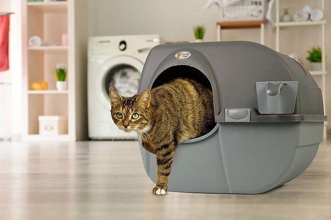 Omega Paw Roll 'n Clean Self Cleaning Litter Box, Brown, Large