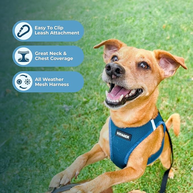 Best Pet Supplies Voyager Step-in Air All Weather Mesh Harness and Reflective Dog 5 ft Leash Combo with Neoprene Handle, for Small, Medium and Large Breed Puppies - Set (Turquoise), S