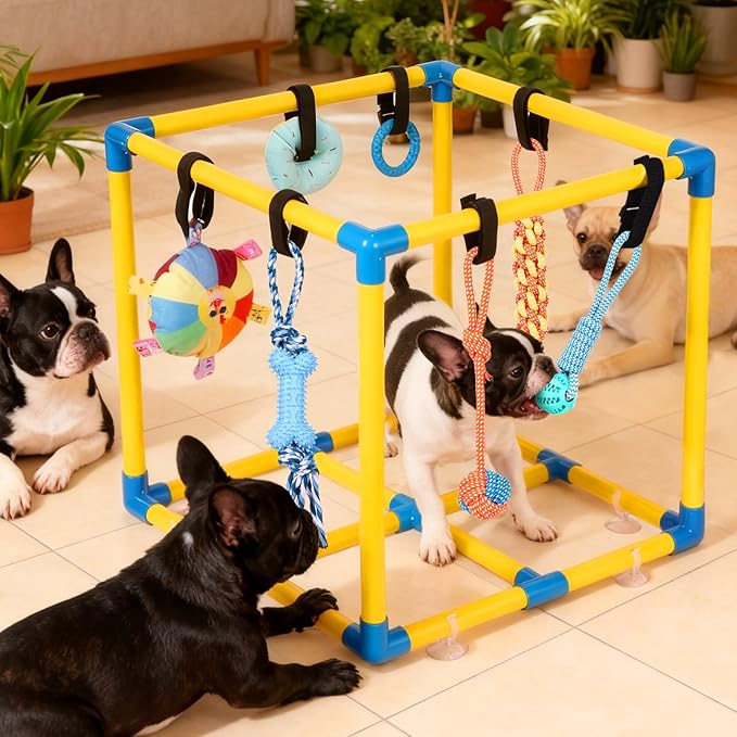 Puppy Play Gym for Small Dogs with 10 Hanging Toys, Removable Indoor Jungle Gym, PVC Frame with Adjustable Bungee Straps, Interactive Dog Toys Tug Toys for Dogs Rope Toy to Keep Them Busy