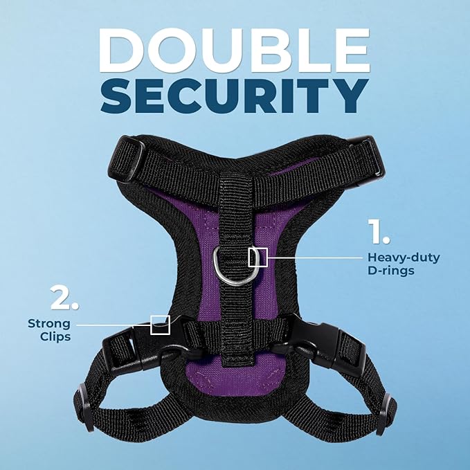Voyager Escape-Proof Step-in Lock Cat Harness & 5ft Neoprene-Handle Leash Set All-Weather Mesh with Reflective Stitching for Small to Large Cats by Best Pet Supplies, Purple/Black Trim, XS