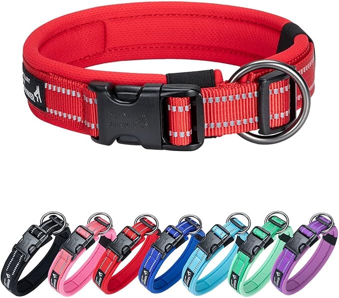 EXCELLENT ELITE SPANKER Reflective Dog Collar Classic Soft Padded Breathable Nylon Adjustable Pet Collar with Quick Release Buckle for Boy Girl Male Female Small Medium Large Dogs Training(Red-M)