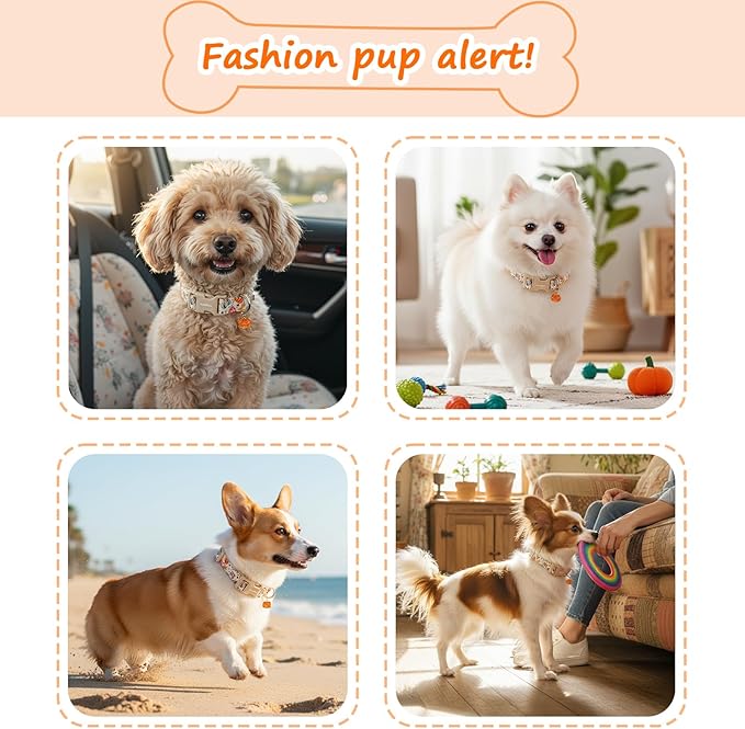 Halloween Dog Collars, Fall Dog Collar for Dogs, Fun Multi-Color Pumpkin Dog Collars for Medium Dogs, Adjustable Cotton Meiudm Dog Collar Puppy Collar for Halloween & Thanksgiving