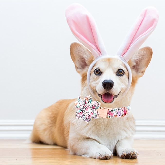 Lionheart glory Easter Day Dog Collar with Flower Dog Collar for Large Dogs, Rabbits Dog Collars Colorful Dog Collar Spring Collars Pet Collar Flowers