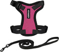 Voyager Escape-Proof Step-in Lock Cat Harness & 5ft Neoprene-Handle Leash Set All-Weather Mesh with Reflective Stitching for Small to Large Cats by Best Pet Supplies, Fuchsia/Black Trim, S
