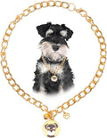 HOWWFALY Dog Collar and Cat Chain Necklace Stainless Steel Adjustable 18K Gold Heart-Shaped Necklace for Small Pets Cats Kitten Puppy (Gold, 14 inch)