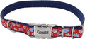 Coastal Pet - Ribbon - Adjustable Dog Collar with Metal Buckle, Red with Paws, 5/8" x 08"-12"