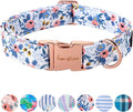 Unique style paws Dog Collar Metal Buckle Red Rose Puppy Collar Flower Gift Durable Cute for Small Medium Large Boys Girls Dogs