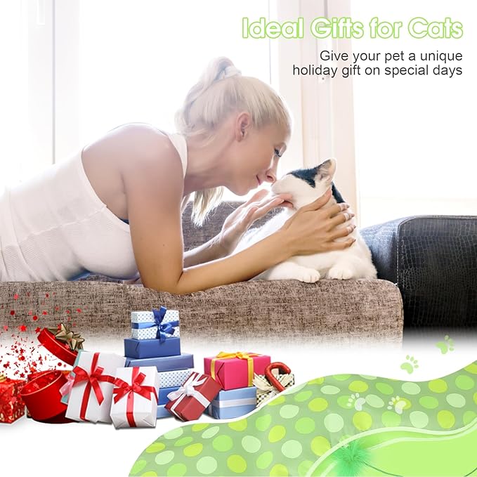 Interactive Cat Toys for Indoor Cats & Kittens - Automatic Hide & Seek Toy with Feather Tail,Squeaky Mouse Sounds, Motion Activated,USB Rechargeable Boredom Relief & Self Play Enrichment Game