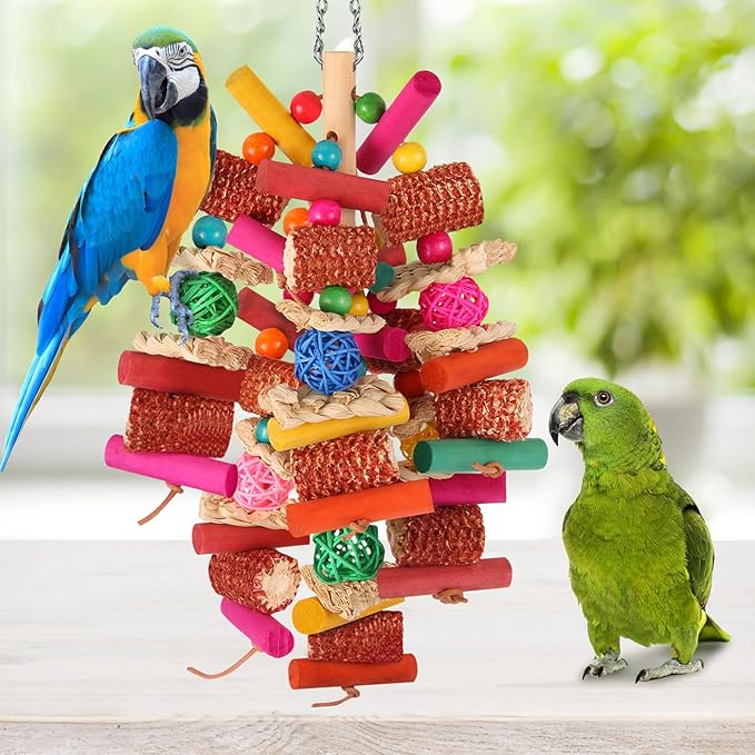 Kyouki Parrots Toys for Cockatiels, Budgies, Conures, Lovebirds, Quakers, Parrotlets, Caiques, Senegals, Meyer's & Other Small/Medium Birds - Natural Chewing & Foraging Toy with