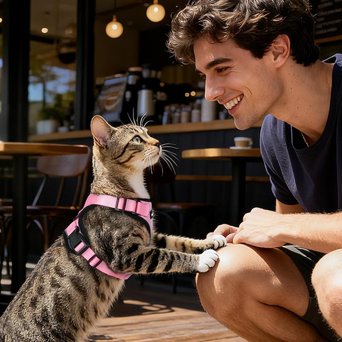 Dooradar Cat Harness and Leash Set, Escape Proof Safe Adjustable Kitten Vest Harnesses for Walking, Easy Control Soft Breathable Mesh Jacket with Reflective Strips for Cats, Pink, M