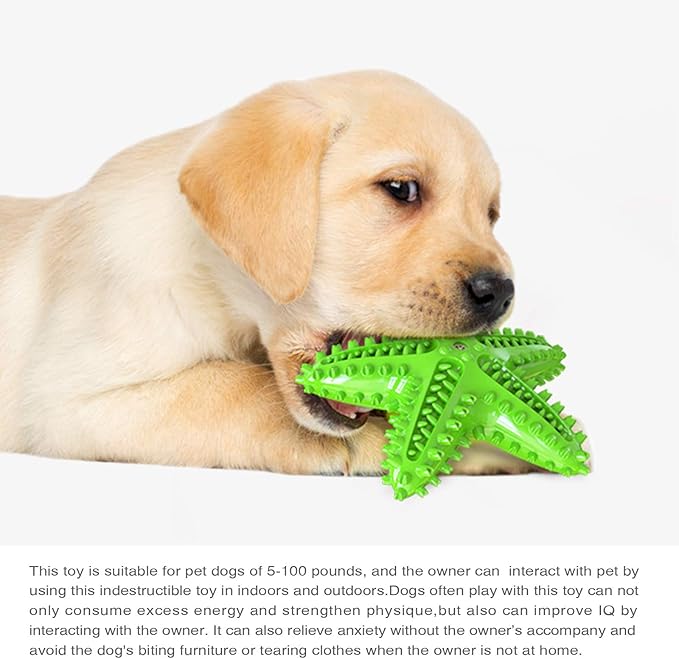 Carllg Dog Toys for Aggressive Chewers, Puppy Teething Chew Toys, Durable Indestructible Squeaky Interactive Puzzle Starfish Toys for Small Medium Large Breed